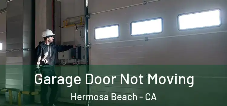  Garage Door Not Moving Hermosa Beach - CA