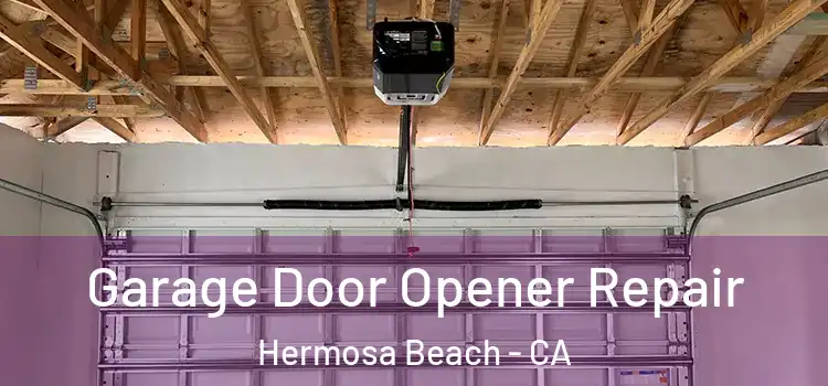  Garage Door Opener Repair Hermosa Beach - CA