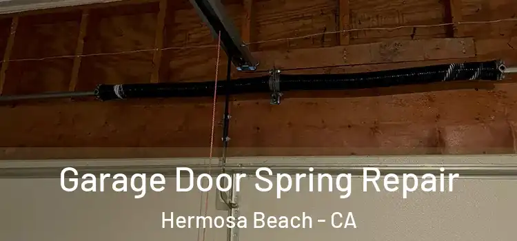  Garage Door Spring Repair Hermosa Beach - CA