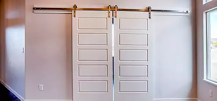 Glass Barn Door with Installation Hardware Kit Hermosa Beach